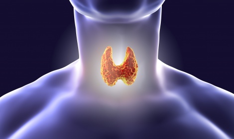 THYROID DISEASES