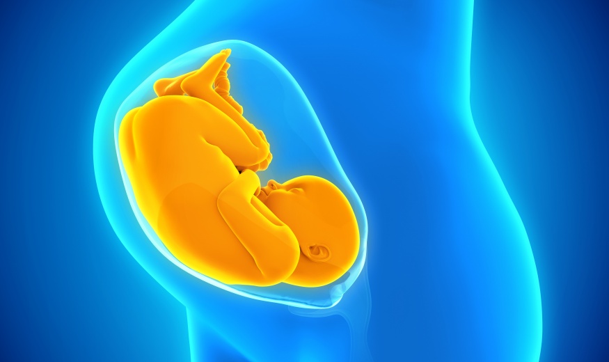 THE EFFECT OF IODINE ON FERTILITY