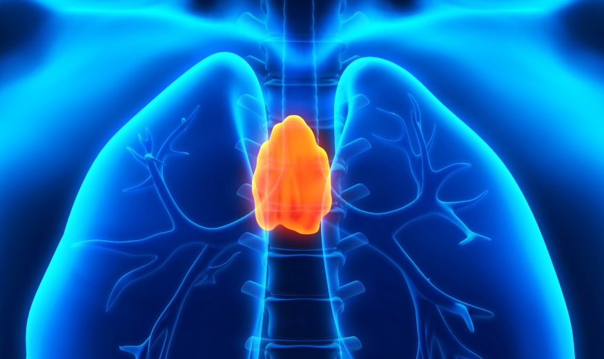 ENDOCRINE SYSTEM
